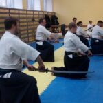 29-31 марта 2019 г., в г. Воронеж, ЦФО, состоялся плановый методический семинар по Айкидо Айкикай, Иайдо Мусо Мусо Синден рю (FEI) и Синто Мусо рю Дзедо (FEJ)